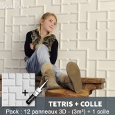 Pack Panneau Mural 3d Tetris + colle