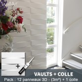 Pack Panneau Mural 3d Vaults + colle
