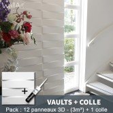 Pack Panneau Mural 3d Vaults + colle
